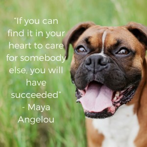 caring is success