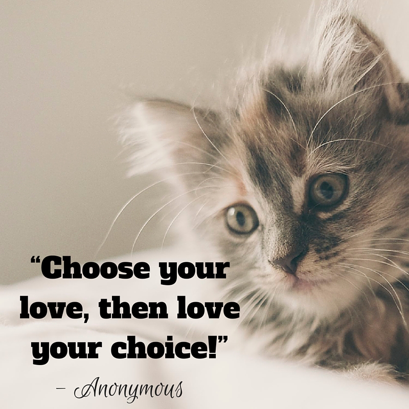 love your choice