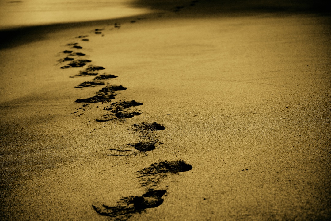 love leaves footprints